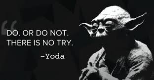 AlivenessSeries's tweet photo. "Do or do not, there is no try." ~Yoda #wereinthistogether #aliveness #shelterinplace https://t.co/a6Isc9jJ6W