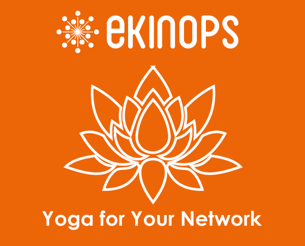 EkinopsSA's tweet image. Need a more flexible #network? With our #FlexRate™ technology, networks can adapt to different architecture and #app requirements without the need to add new #hardware. Learn more here: bit.ly/2y3VsDj #yogaforyournetwork