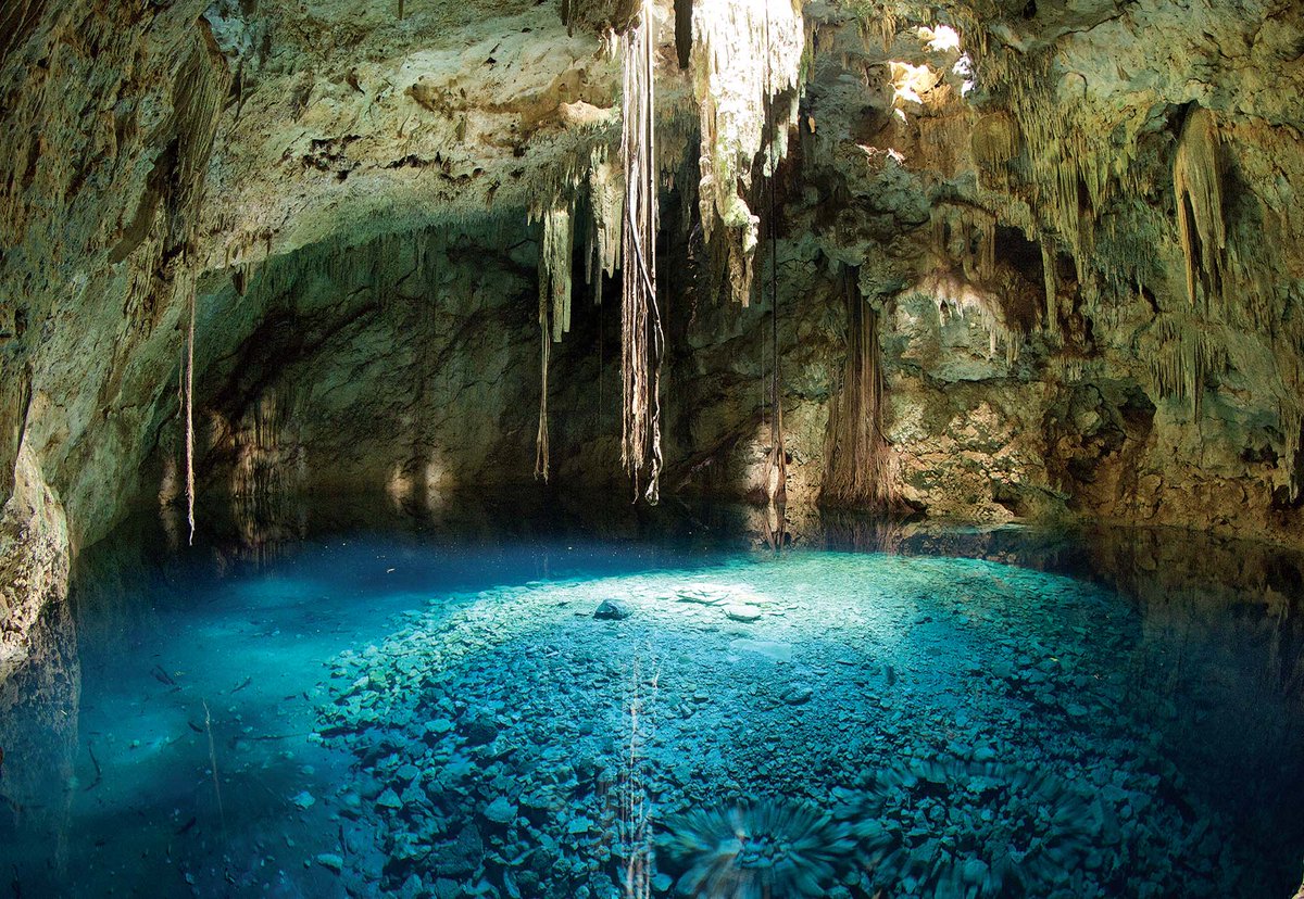 CentinelasAgua's tweet photo. Felicitamos a #Cancún y comunidad por este 50 aniversario desde su fundación. A su vez, hacemos un llamado para que sigamos conservando la riqueza natural de cenotes urbanos, manglares, acuífero y con ello que podamos apreciar nuestro recurso más valioso; el agua.
💪🏻💧🌎 https://t.co/ch0xnIlC0Q