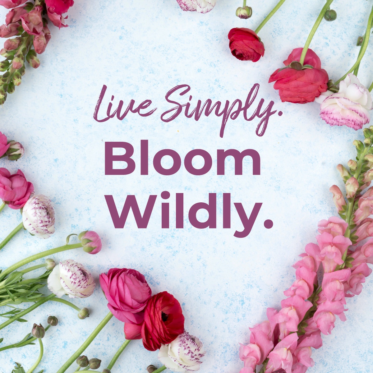 myavonmusings's tweet image. Live simply. Bloom wildly.
#mondaymotivation #mondayvibes #springquotes