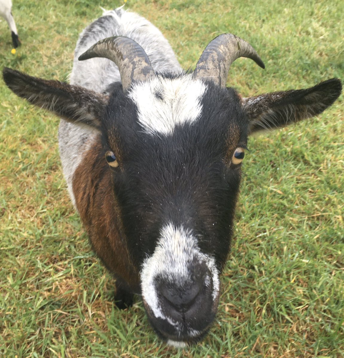 Sous la pluie aujourd’hui #mon1km