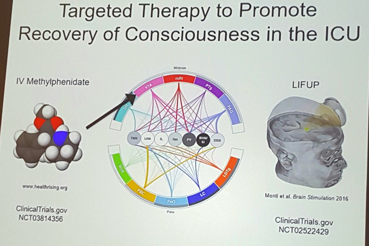 griz1's tweet image. Using brain imaging &amp;amp; network connectivity to direct treatment in disorders of consciousness #DOC, including severe #TBI with PVS/MCS. From @ComaRecoveryLab @MGHNeuroSci @N_A_B_I_S #abi2020 @AANMember @TheNewANA1 @neurocritical @PNCRGtweets #PedsICU