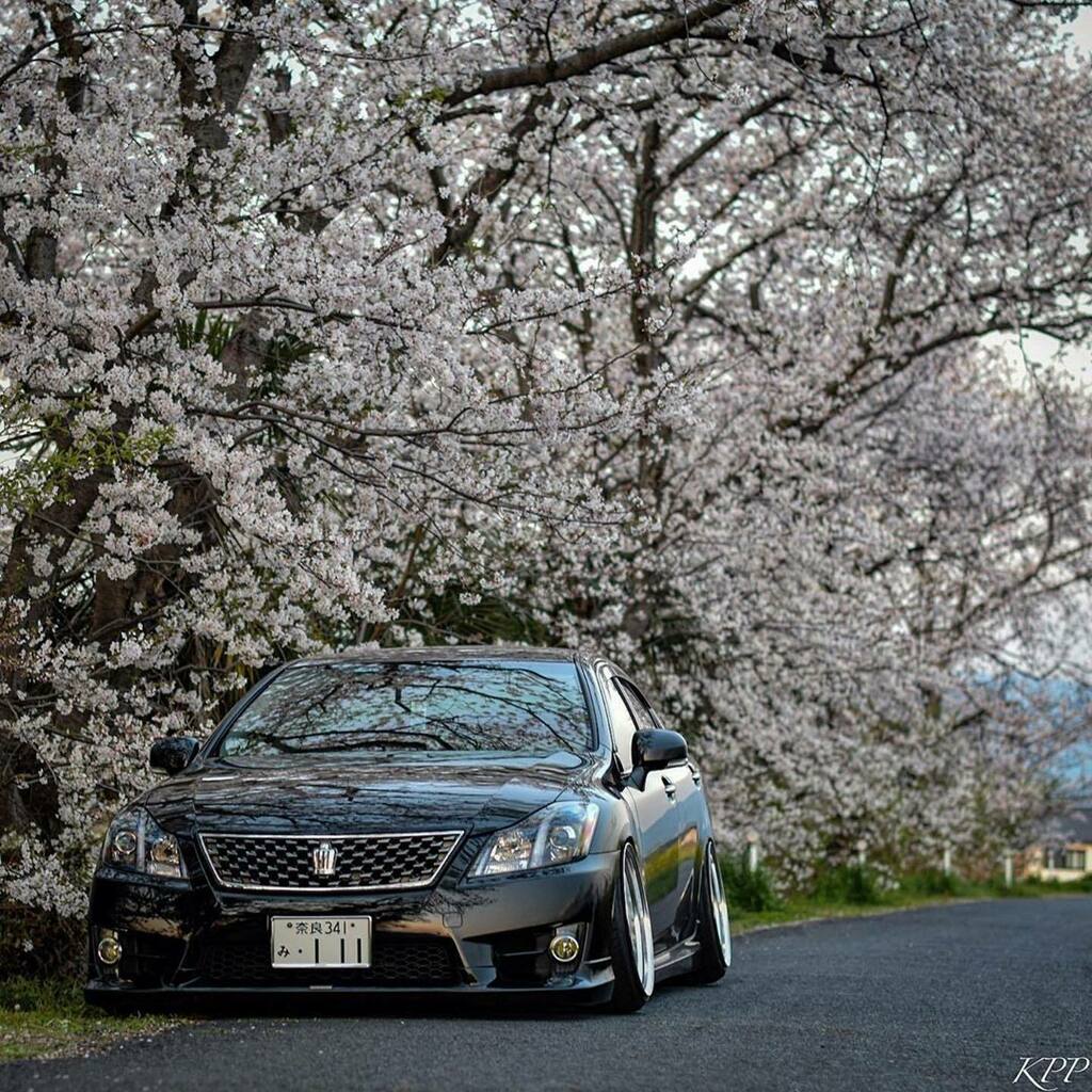 vipstylecars's tweet photo. Repost @yasu111grs
・・・
・
・
#crownathlete #crownroyal #toyotacrown #200crown #20crown #grs200 #trdsportivo #ssr #ssrms3 #ssrwheels #ssrwheelsjapan #vip #vipstyle #vipcar #vipjapan #stance #stancenation #stancecar #slammed #lowcar #lowstyle #lowere… https://t.co/RaLkWnYFaP https://t.co/ycpbfo1U87