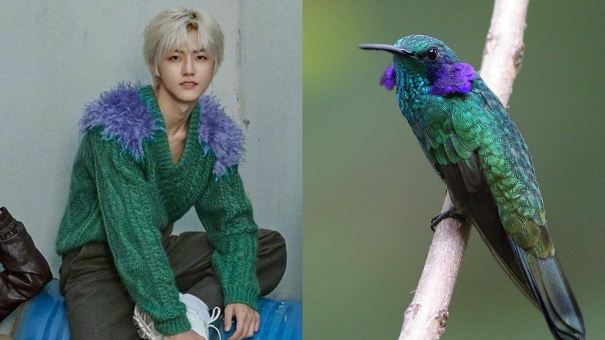 キラリ✨คุนนู๋น้องลูกเน้กโกะจัง🐈👑✨ tweet media