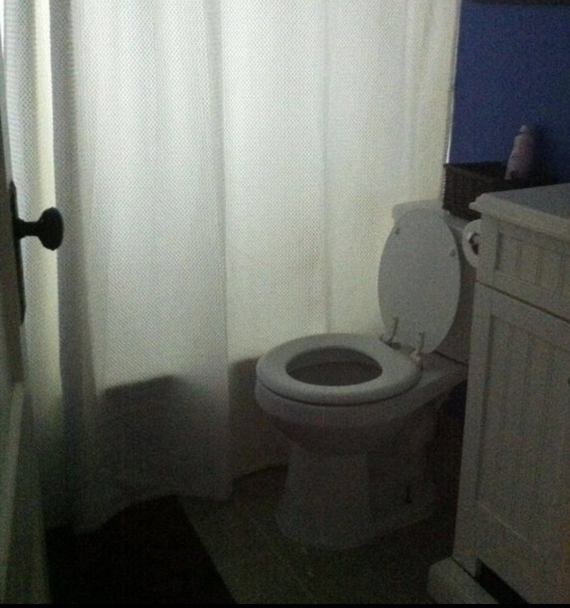 What if I just start this as a thread of cursed images I find while trawling zillow?