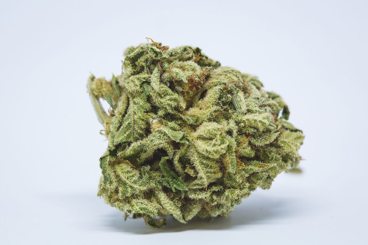 people seem to mostly recognize the big spiky marijuana leaves and associate weed w them but the parts of the plant you actually use to get high are these beautiful little dried flower buds covered in little crystals; they& #39;re usually green but they can also be pretty purples