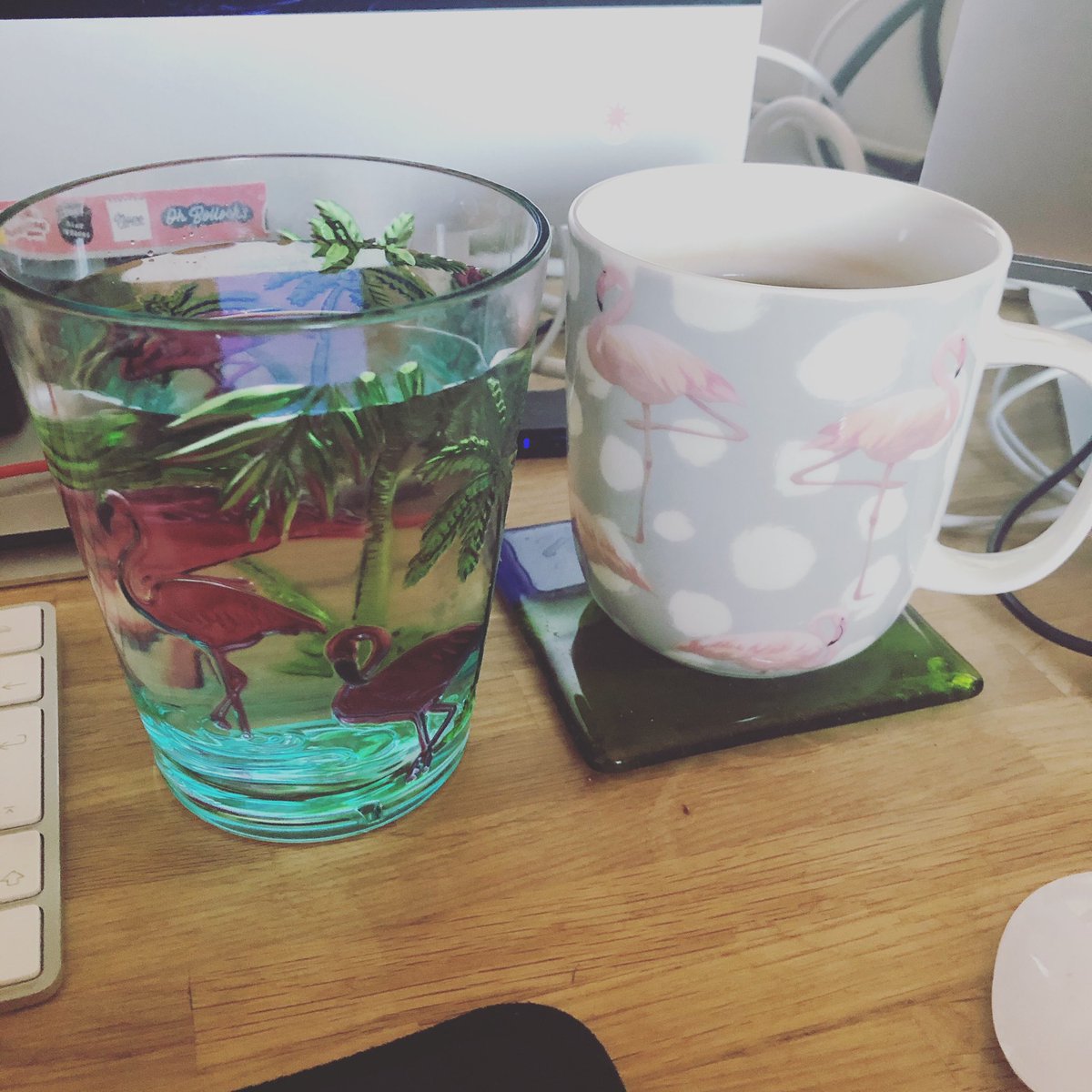 bethtalksalot's tweet photo. It’s going to be a productive day! #fuelledbyflamingos! https://t.co/UAyCaZdq61