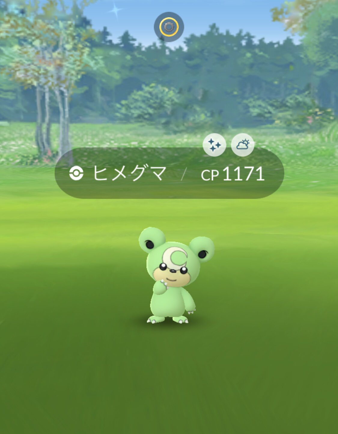 Daisuke Ex Aqua Timez Twitterissa たまにはポケモンgoネタ なんとも可愛いヒメグマ色違いゲット レッスン部屋からポケストップ が届くのでおこうandモジュールで結構ポケモン取れます ボチボチyoutubeでもポケモンgoやります とりあえずギター演奏見て