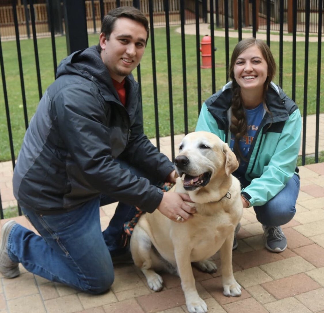 🥳💛Happy Gotcha Day to our wonderful boy Henry! 💛🥳

Henry has found his furever home with Cody and Nicole and will enjoy his days lounging on the couch and running at the ranch. We couldn't be happier for this big, loveable boy and for the Meineke family! Congrats to everyone!