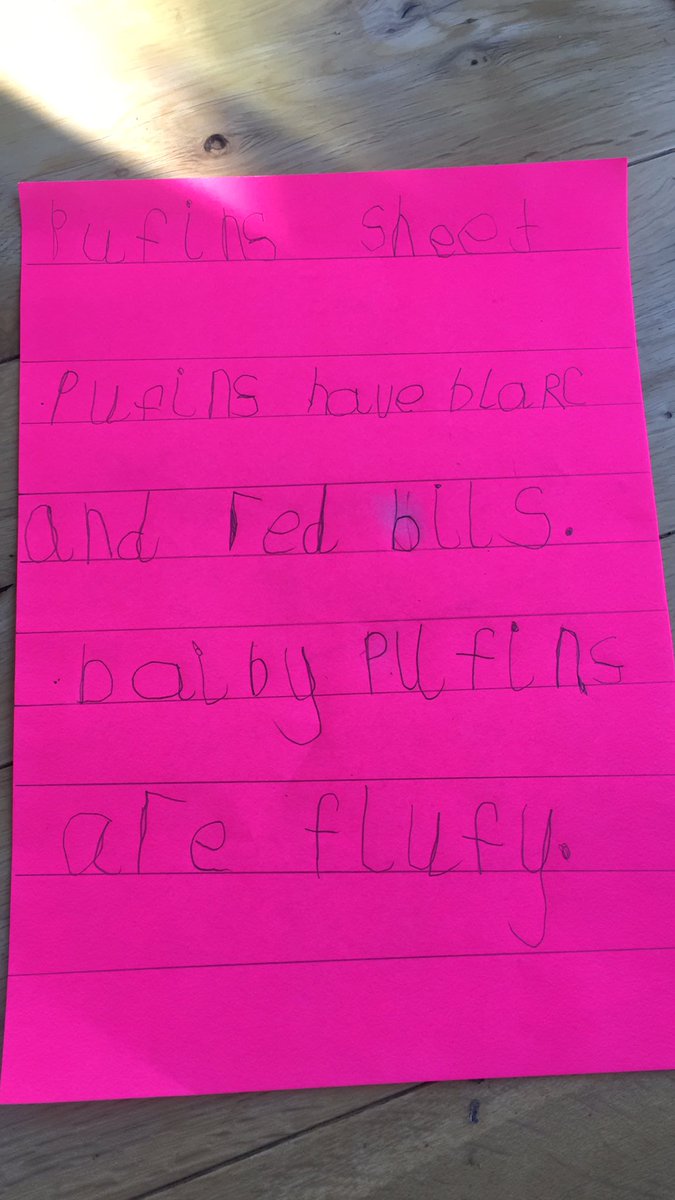 Orlaith really enjoyed her reading book about puffins this morning. She decided to share the facts she’d read with her nanna by writing a fact sheet to send her. @risingstarsedu @stphilipsrc