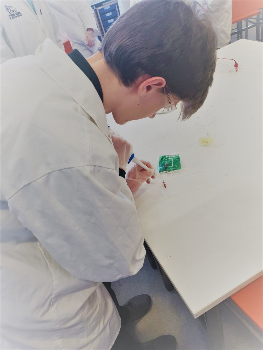 RoutesintoSTEM (@routesintostem) on Twitter photo Looking for something exciting to look forward to after the lockdown?  Why not apply for a place on one of our innovative 3 day Routes into STEM Courses taking place over the October Half Term... apply here; etrust.org.uk/routes-apply
#STEM #STEMeducation #careeradvice Looking for something exciting to look forward to after the lockdown?  Why not apply for a place on one of our innovative 3 day Routes into STEM Courses taking place over the October Half Term... apply here; etrust.org.uk/routes-apply
#STEM #STEMeducation #careeradvice