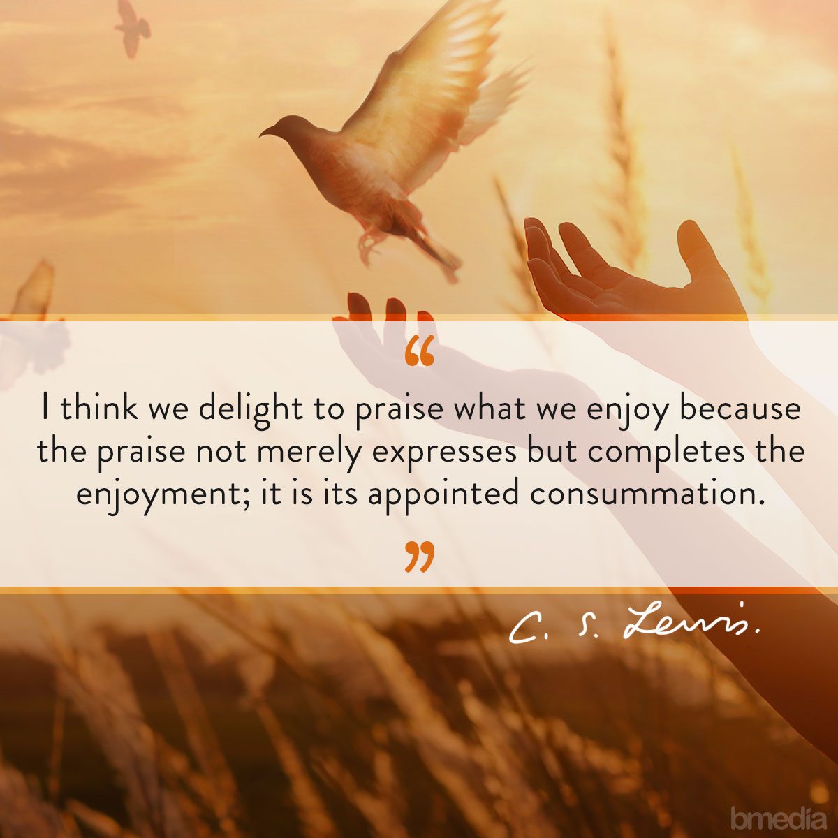 C. S. Lewis (@cslewisdaily) on Twitter photo 