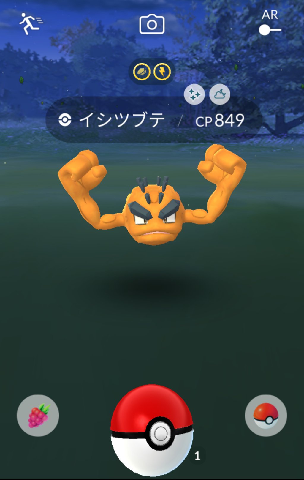 溝口 泰成 仕事帰りに 色違いアローライシツブテに 初めて出会いました 色違い初実装されてから 約９ヶ月くらいかかりました 個体値は星２つですが パラメータバランスは悪くない感じ ちなみに 普通のイシツブテの色違いには まだ出会えてません