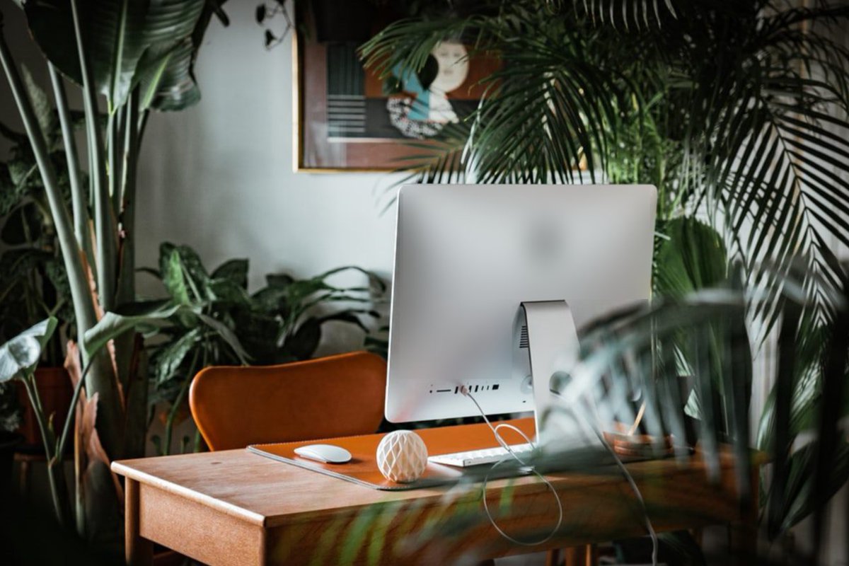 ClicknPlantza's tweet photo. Click &amp; Plant tips for lockdown - https://t.co/cxJyF3wCNR
#lockdown
#covid19
#plants
#gardening
#bulbs
#fruit
#ediblegarden
#growyourown
#indoorplants
#homeoffice
#plantfood
#fertiliser
#fynbos
#indigenousplant
#organic
#teachingkids
#homeschool
#capetown
#gardennursery https://t.co/TShkQ2Eh7P
