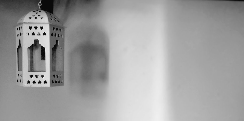 ForchieFranklin's tweet image. &apos;Training my eye&apos; during these lockdown days. I&apos;m liking this journey.