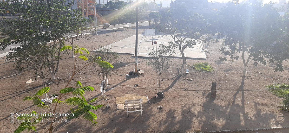 MACHISAUNI's tweet photo. @VeroLinaresC Así están los alrededores del Peaje Ramiro Prialé,no respetan la distancia,tienen necesidades, hace sus necesidades en la calle, deambulan por las calles poniendo en riesgo a las personas,tengan en cuenta que nadie sabe si están infectados o no.Queremos ayudarlos pero no podemos. https://t.co/Ey6wakhrZs