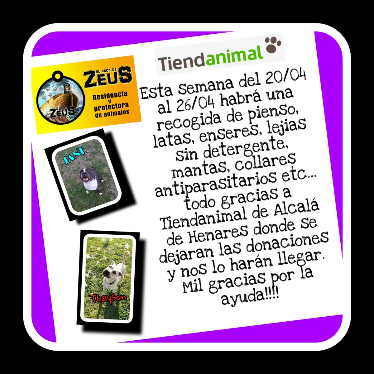 elarcadezeus's tweet photo. Esta semana @tiendanimal #AlcalaDeHenares hará recogida de donaciones para ayudarnos en estos momentos tan duros, si vas a comprar allí acuérdate de nuestros perretes. Muchas gracias por esta iniciativa! Y gracias a todos por echarnos una patita 🐾 https://t.co/vSlKrAEJ5K