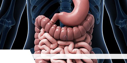 Global #Bariatric #SurgeryDevices Market Research Report 2015-2025
Read report at- bit.ly/3bpChCO

Get report sample- bit.ly/3bpCx4K

@Allergan @TransEnterix @ReShapeLifesci <a href="/GERDHelp/">EndoGastric Solutions - TIF Procedure for Reflux</a> <a href="/IntuitiveSurg/">Intuitive</a>