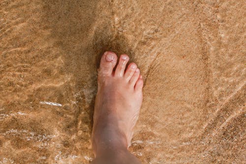 sjfeet's tweet photo. Diabetes and Your Feet
https://t.co/KonZMl56rC
#FeetProblem #Diabetes #FootPain #FootTreatment #DiabetesRelatedFootProblems #Diabeticneuropathy #FootProblemsforDiabetics #Footulcers #Gangrene #podiatrist #vasculardisease https://t.co/itlbk2cSY9