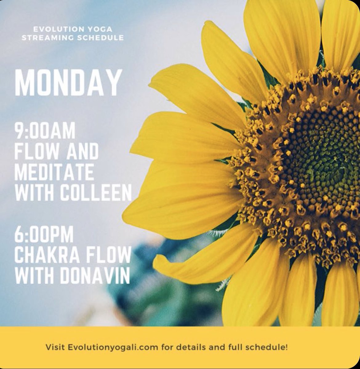 evolutioncandle's tweet photo. Mornings with Evolution Yoga! #YogaDuringLockDown #yoga #YogaAtHome https://t.co/WGSlskJFil