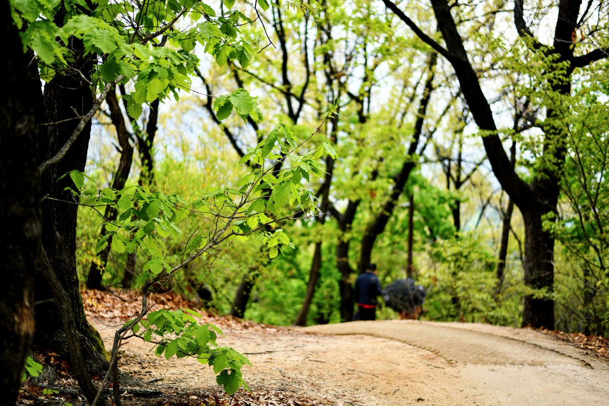 hanjanara tweet picture