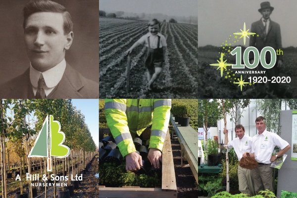 #Goodnews: New tunnel expansion in 2020 &amp; third and fourth generations of the Hills family celebrate #100years #growing #centenary supplying #landscaping #horticulture #NorthYorkshire #Teesside #familybusiness #staysafe #staypositive hillandsons.co.uk/blog-headlines…