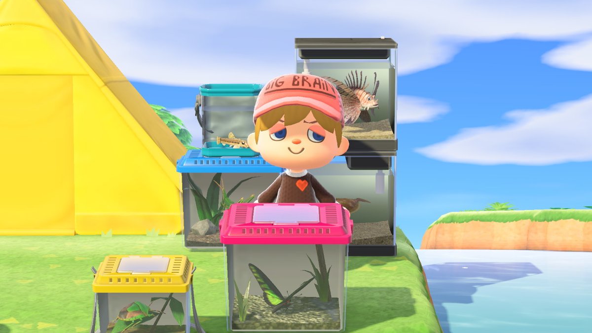 KuroKat1's tweet photo. #AnimalCrossing #ACNH #NintendoSwitch https://t.co/SVL4luZXST