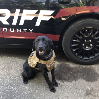 GarySim28429439's tweet photo. #NewProfilePic https://t.co/AHwSqkyXr4