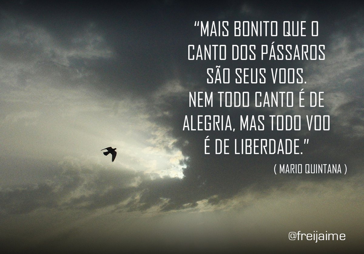 Mais bonito que o canto dos pássaros são seus voos. Nem todo canto é de  alegria, mas todo voo é de liberdade.” (Mario Quintana). . 🙏 Siga [  @freijaime ] 🙏 . #, image size:1200x838