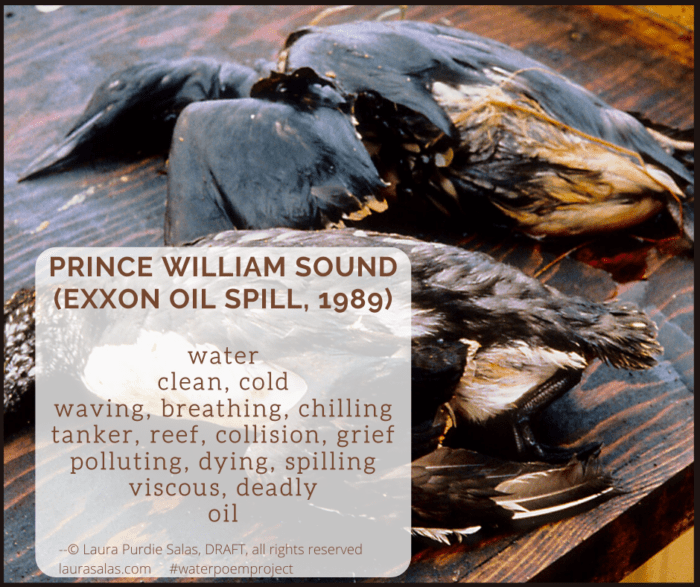LauraPSalas's tweet photo. Day 20: An Oil Spill Diamante (#NationalPoetryMonth2020) #npm #waterpoemproject @laurashovan https://t.co/tKumzAHpBM https://t.co/lRfZC3fItP