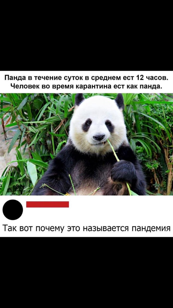 malodoyK510's tweet photo. На злобу дня) https://t.co/LI9iSj3gLV