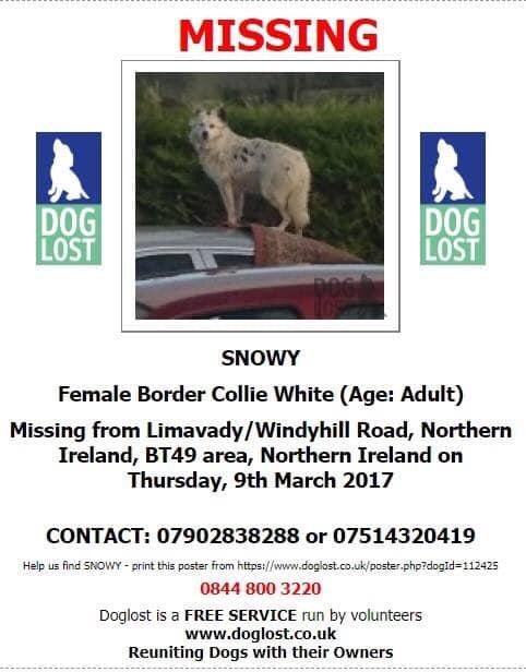 rosieDoc2's tweet photo. ❌. #NORTHERNIRELAND ❌
ITS #CollieMonday
SNOWY went #Missing 9/3/17 #Limavady / Windyhill Road #BT49
Female/white/adult #BorderCollie
You’d know it was her if you had her? Right? Please make that 📞
@MissingDogsIrl @suzannevaliant3 @MissingPetsGB @gelert01 @Kazzy525 https://t.co/SYFwlWEBOU