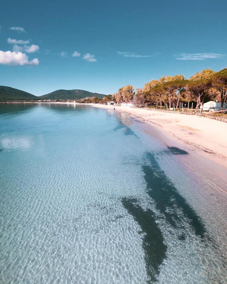 Peppiniello 🌵 tweet media