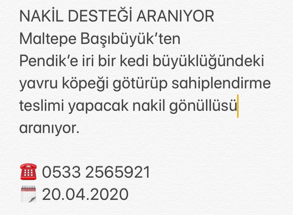 Patimelekleri's tweet photo. NAKİL DESTEĞİ ARANIYOR
Maltepe Başıbüyük’ten 
Pendik’e iri bir kedi büyüklüğündeki yavru köpeği götürüp sahiplendirme teslimi yapacak nakil gönüllüsü aranıyor. 

☎️ 0533 2565921
🗓 20.04.2020

#köpek #yavruköpek #puppy #birkapsu #birkapmama #birkapsubirkapmama #pendik #maltepe https://t.co/bNTMaF6ExX