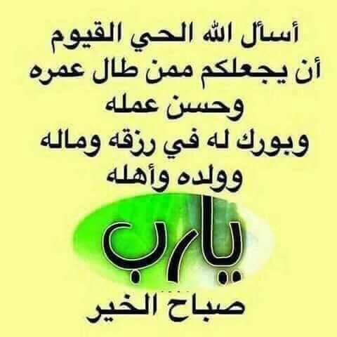 محمد إبراهيم (@aboebrahim1969) on Twitter photo 