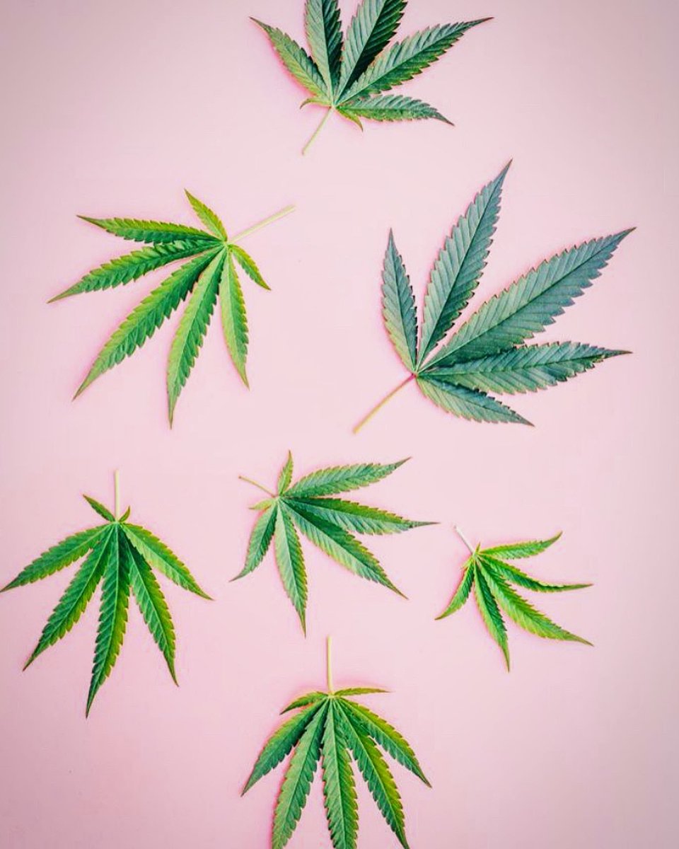 ShockOqxo's tweet photo. Hoje dia 20/4 Γ© o dia mundial da cannabis e Γ s 4:20 no meu feed e no IGTV tem surpresa e desafio.
.
#420challenge #420day #xishchallenge #xish https://t.co/2ovYtFKJ7W