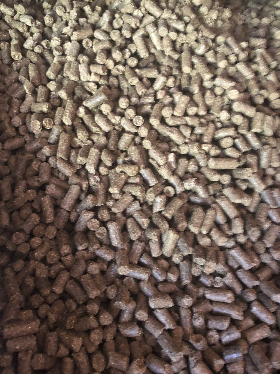 MasseyFeeds's tweet photo. Filling up feeders in Holywell, North Wales.βοΈπ
Mathew Roberts sheep are fed on Elite Ewe Rolls and Hi-Gain Lamb Pellets ππ»π
#focusedonewe #focusedonlamb #focusedonnutrition #masseyfeeds #morrisons https://t.co/P5tqHrvFHY