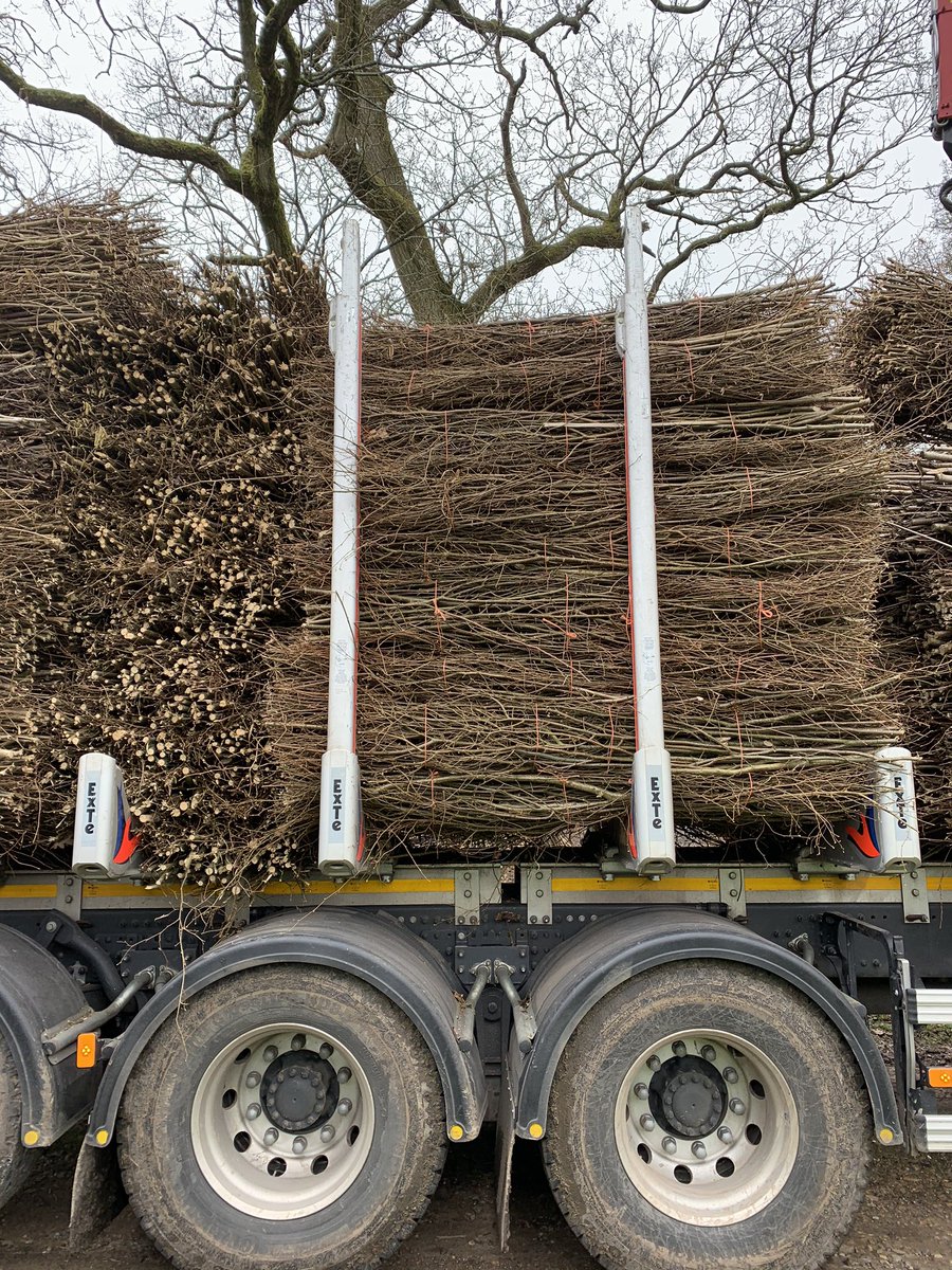 Many rivers have been altered into straight channels causing floods. Today rivers are now being ‘rewiggled ‘ and returned to a more natural state and this often requires hundreds of faggots and stakes.