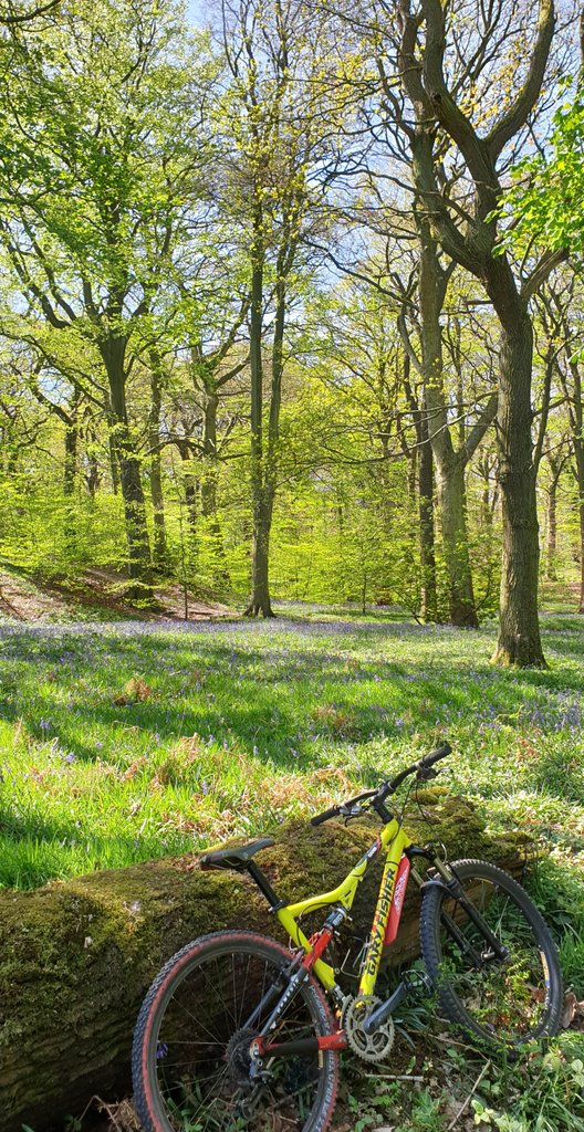 Gotta make the best of the exercise session we're allowed.