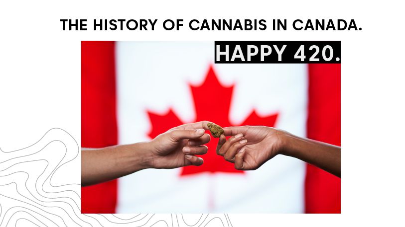 TheSupremeFIRE's tweet photo. Happy 4/20! To help you celebrate the date, we have taken a look back at the entire history of cannabis in Canada. Learn all about the plant's past in our latest #SessionGarden article: https://t.co/Ad6MTv07q2
#FollowTheFire #SupremeCannabis #Cannabis #FourTwenty $FIRE https://t.co/wBJmTUmDSk