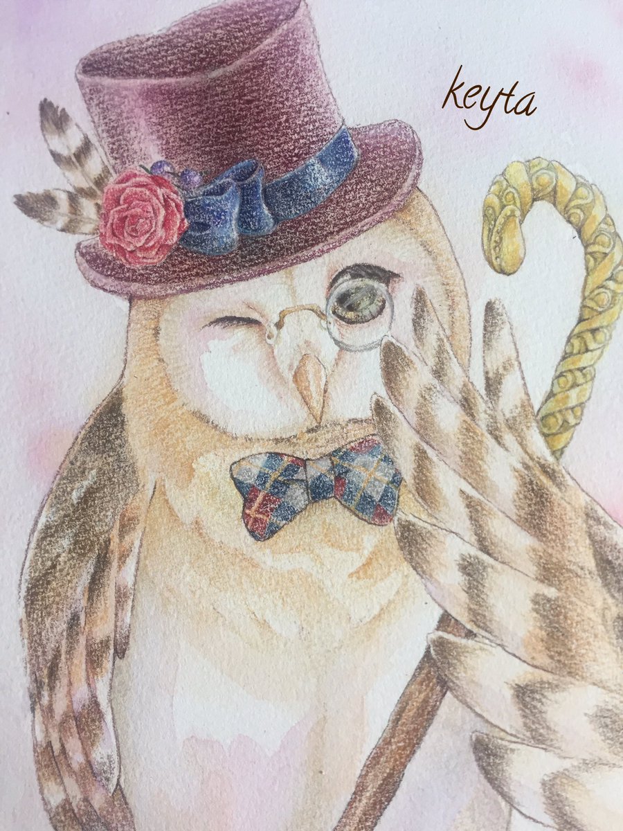 けいた 素敵なタグを見つけたので参加させて頂きます フクロウかっこよくて賢くてかわいい素敵な生き物ですよ アーベイン かわいい動物展 色鉛筆 水彩 アナログイラスト けいた 素敵なタグを見つけたので参加させて頂きます フクロウかっこよくて賢くてかわいい素敵な生き物ですよ アーベイン かわいい動物展 色鉛筆 水彩 アナログイラスト