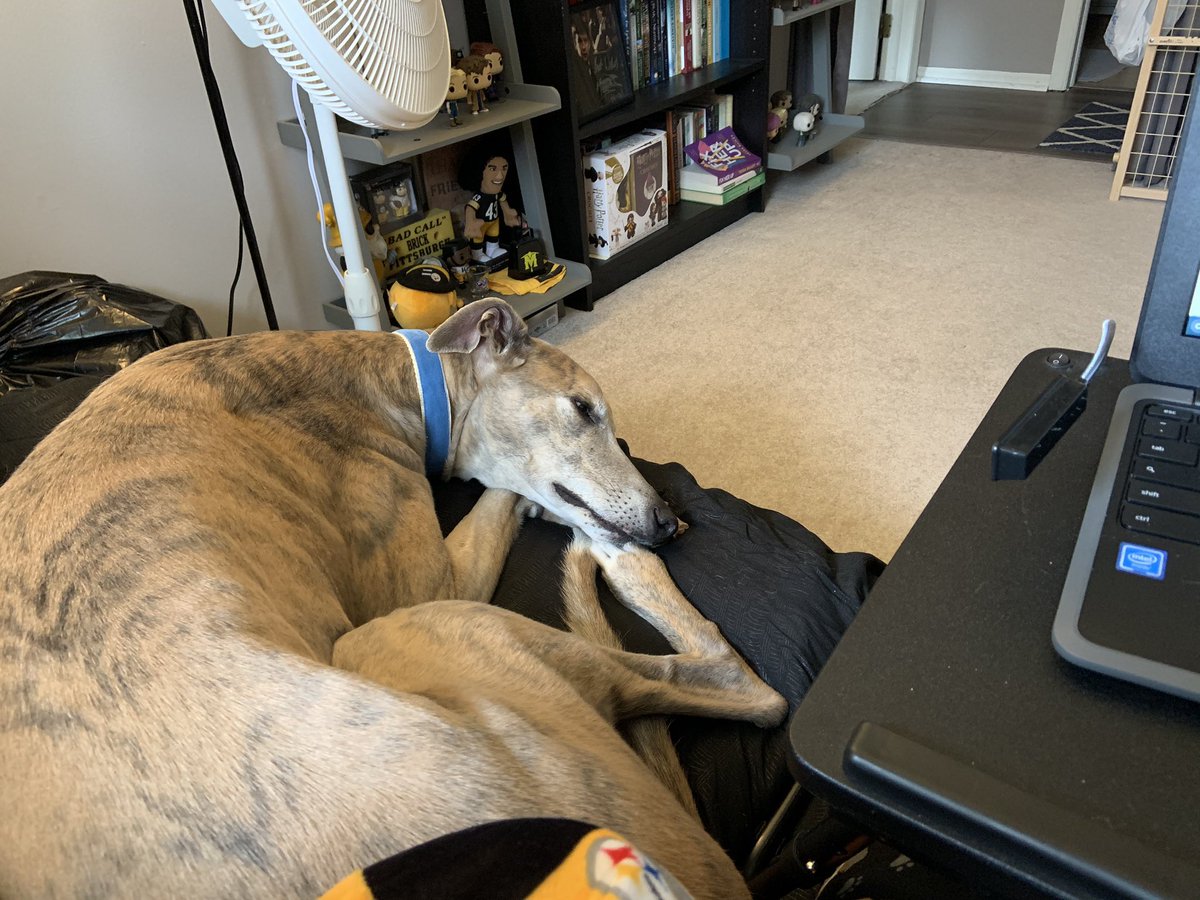 ms_scott_5ela's tweet photo. Finally using the office instead of the kitchen. While I wait for my chair to arrive, the futon has to do. Coworker approves... @RPCS369 @debraprinc @debraprinc @twesley777 #distancelearning #Springbreakover #TeachFromHome #greyhounds https://t.co/3OktYI1dMC