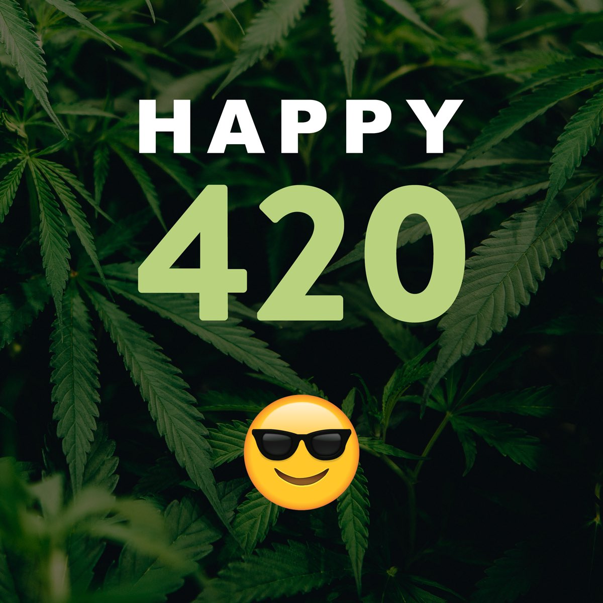GalvestonLawyer's tweet photo. Happy 420! Celebrate responsibly. Caught having too much fun? You know what to do. #CallJonathan #GALVLAW #Lawyer #CriminalLawyer Calls are answered 24/7 @ 409-740-1111. https://t.co/xKPtshWdXg