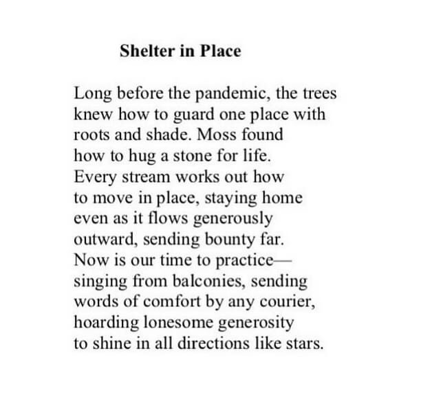 #nationalpoetrymonth
poem for April 20
"Shelter in Place" by Kim Stafford