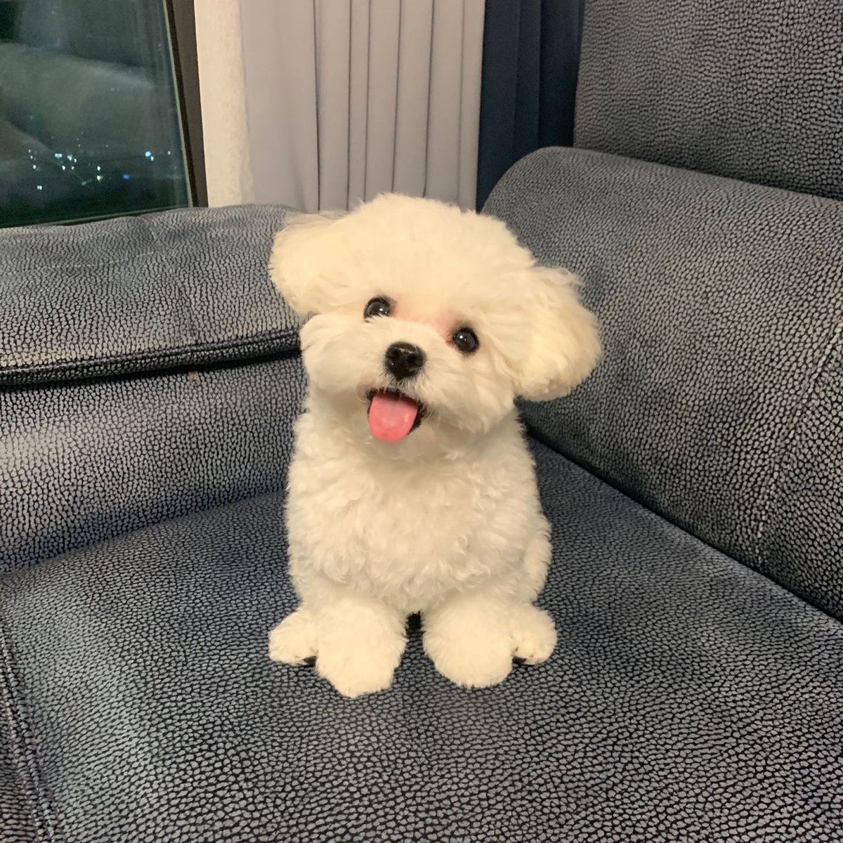 별같은존재우리현진이🌟 tweet media