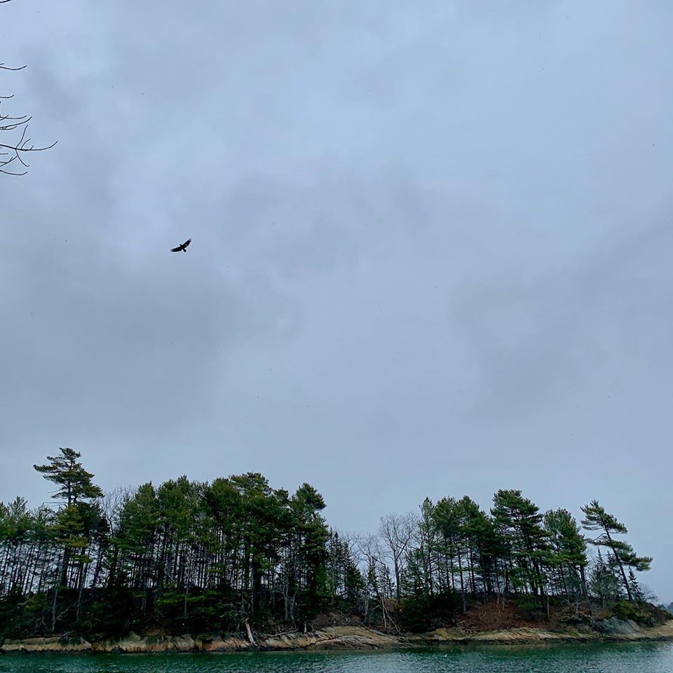 miloinmaine's tweet photo. #WolfesNeckWoodsStatePark #Maine https://t.co/CLxgXCIPWz