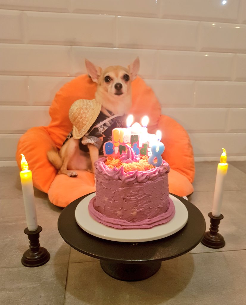 LividEye's tweet photo. Happy Birthday @EarKurt for being the 2nd light of my life. I hope when you left the shelter, you have found found the happiness that made up for whatever sadness they had put you through earlier in your life. https://t.co/kPg1nHwA4a