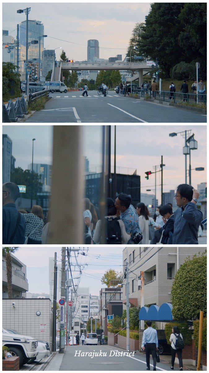 Meiji Shrine and somewhere in Harajuku