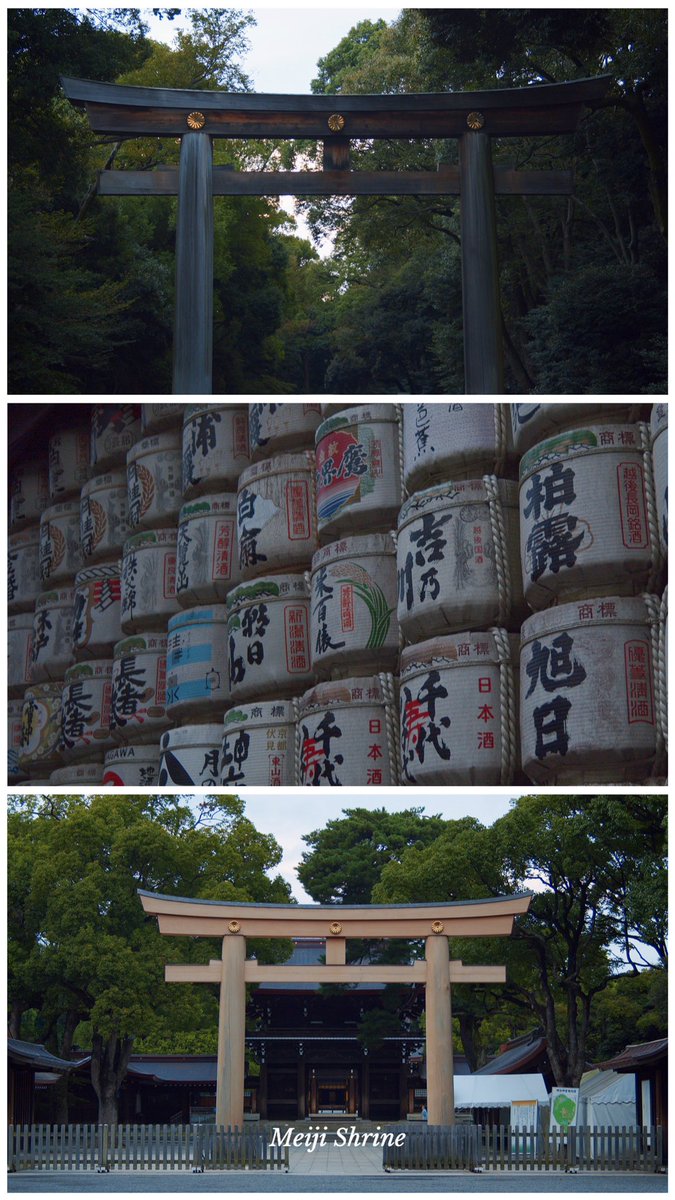 Meiji Shrine and somewhere in Harajuku