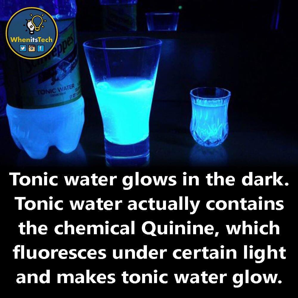 TechWhenits's tweet photo. Did you know?
.
.
.
#tonicwater #facts #coolfacts #dailyfact #mindblowing #interestingfacts https://t.co/mjYHhRl9Gq
